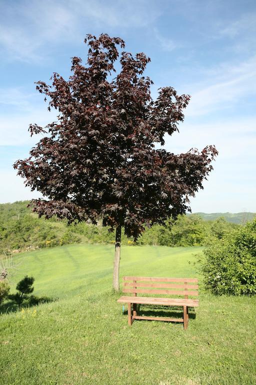 Agriturismo Caiburroni Pietralunga  Dış mekan fotoğraf
